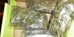 Montenegrin Busted With 15kgs Of Marijuana In Vrgorac
