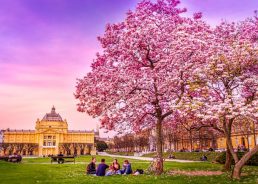 Zagreb Makes Airbnb’s Top 20 Trending Destinations for 2018