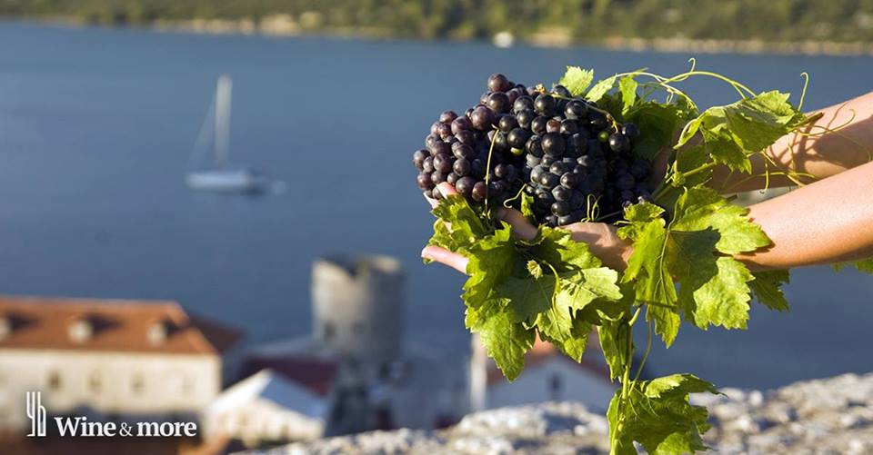 Guide to Pronouncing Croatian Wines