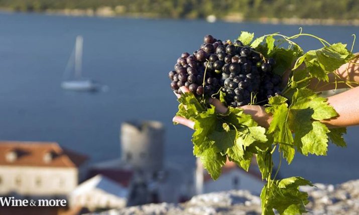 [INFOGRAPHIC] Croatian Wine Map – Wine Regions of Croatia