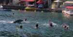 [PHOTOS] Dolphin Joins Swimmers in the Shallow in Croatian Cove