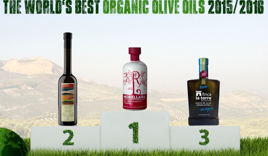 Croatia’s Chiavalon Ex Albis Ranked Among World’s TOP 25 Organic Olive Oils
