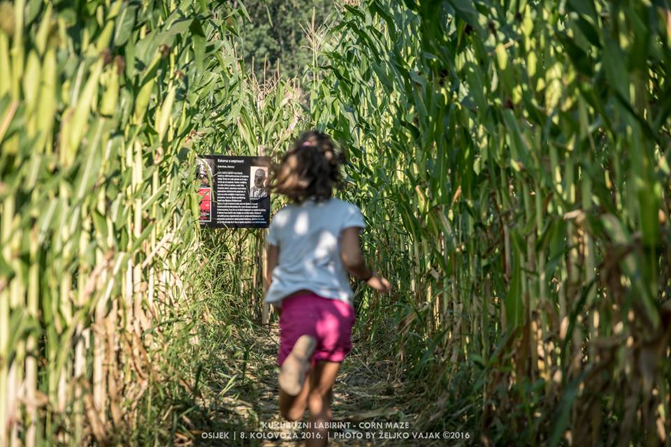 [VIDEO] New Tourist Attraction for Eastern Croatia – Cornfield Labyrinth
