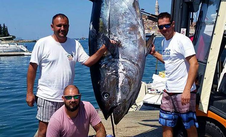 (photo credit: Abyss Fishing Charter Croatia)
