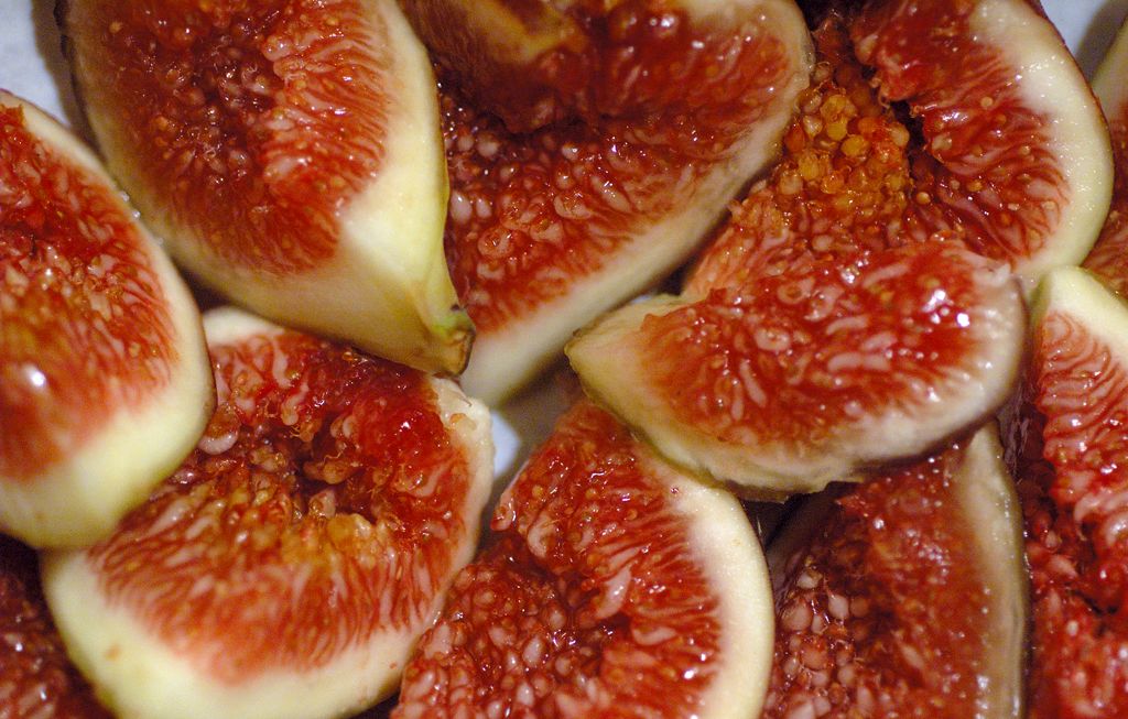 9th Festival of Figs in Zadar this Week