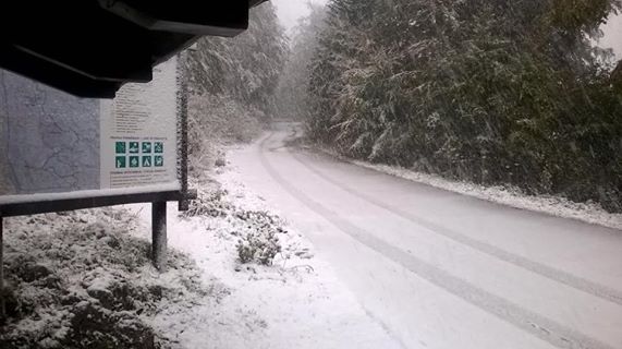 First snowfall of the season (photo credit: Ivica Krmpotić/Nacionalni park Sjeverni Velebit Facebook)