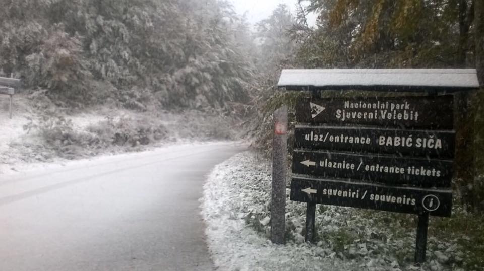 (photo credit: Ivica Krmpotić/Nacionalni park Sjeverni Velebit Facebook)