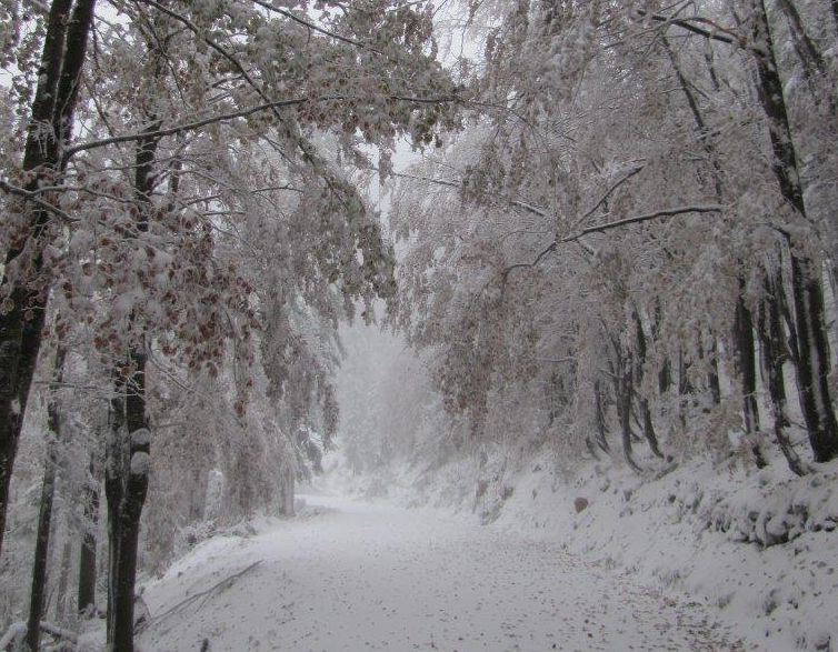 Snow greeted the assessor (photo credit: Northern Velebit National Park) 