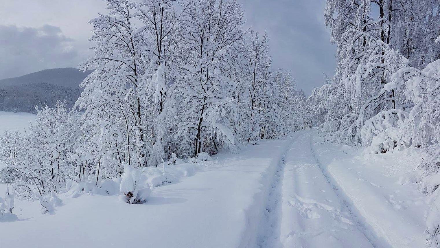 Snow on Platak (photo credit: Mauro Kesovija / Istramet)