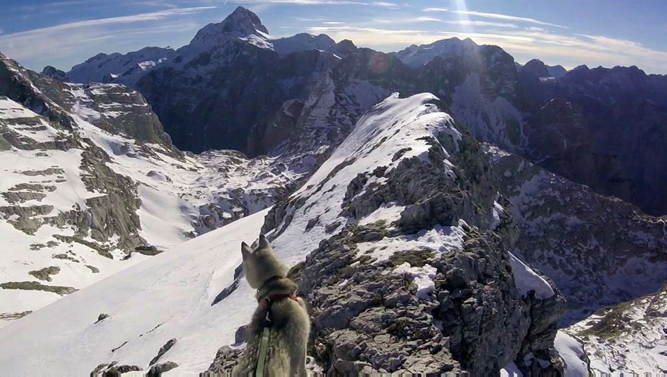[VIDEO] Spectacular Biokovo Mountain Run with the Dog