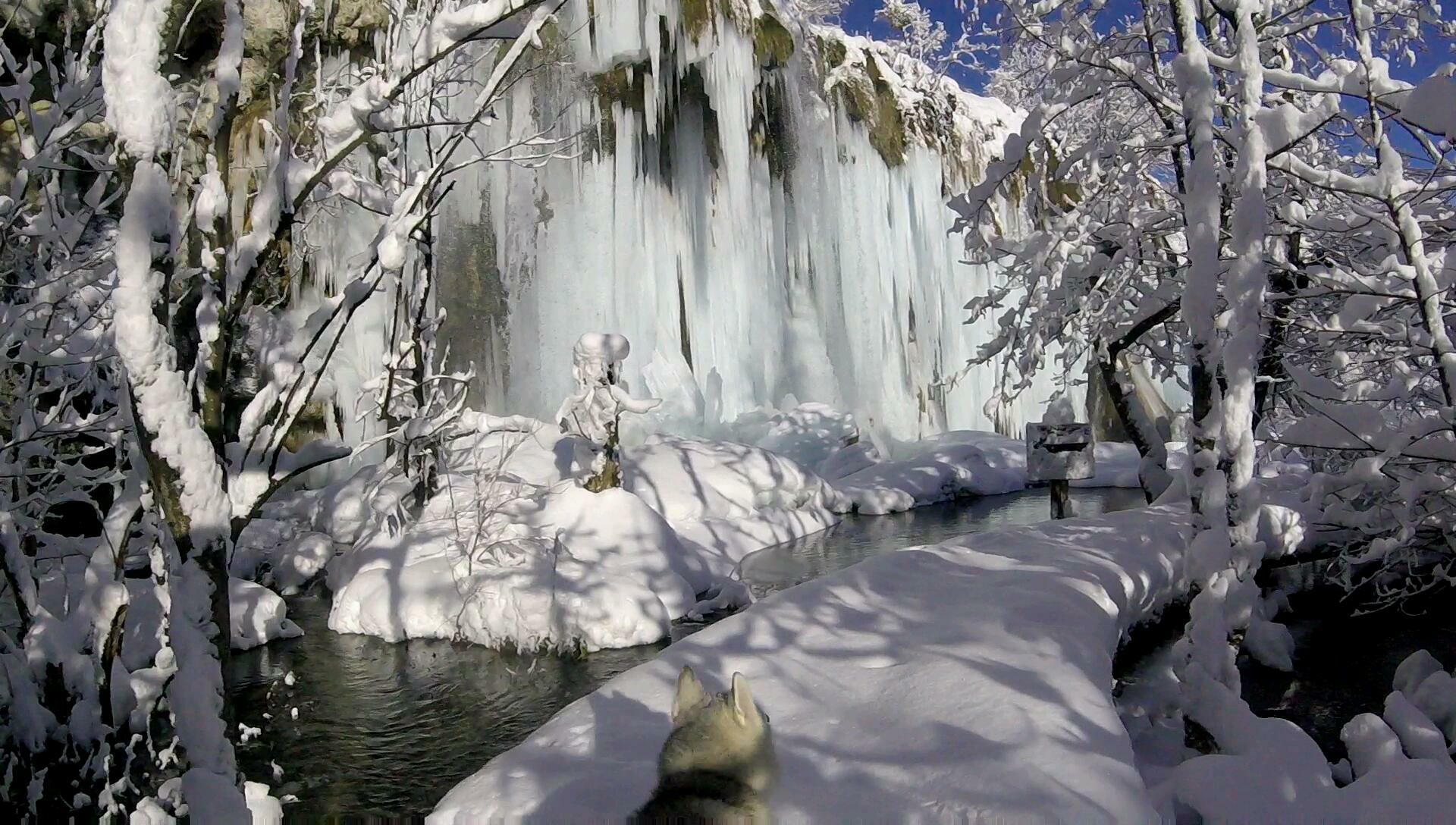 [VIDEO] Magical Winter Stroll Around Plitvice Lakes