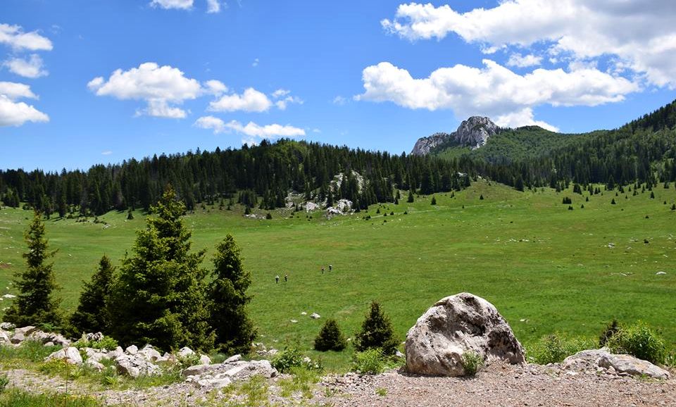UNESCO Makes Forest in Croatian National Park a World Heritage Site