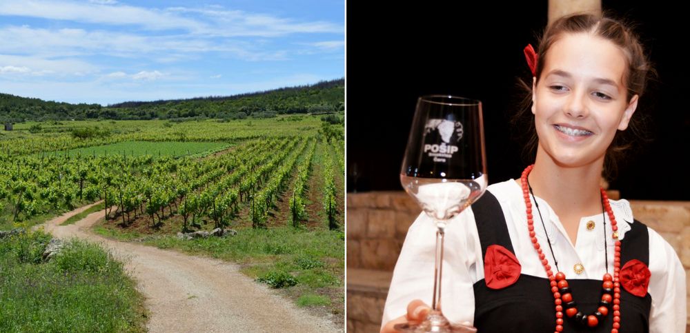 Celebrate Days of Pošip on Korčula –  First Indigenous Croatian White Wine Grape