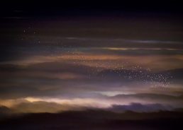 Croatian Photographer Wins Prestigious Nikon Contest