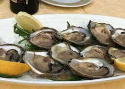 Eat Me Dalmatia – Part 2