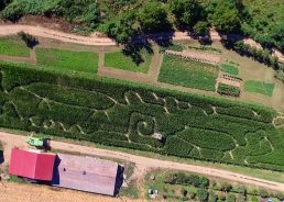 Cornfield Maze Tourist Attractions in Slavonia
