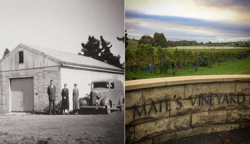 The Croatian Immigrant Family who Created One of New Zealand’s Best Wineries