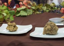 Biggest Truffle & Best Teran Wine Judged at TeTa Festival in Motovun
