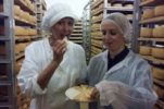 New Zealand Cheesemaker Visits Paska Sirana on Pag