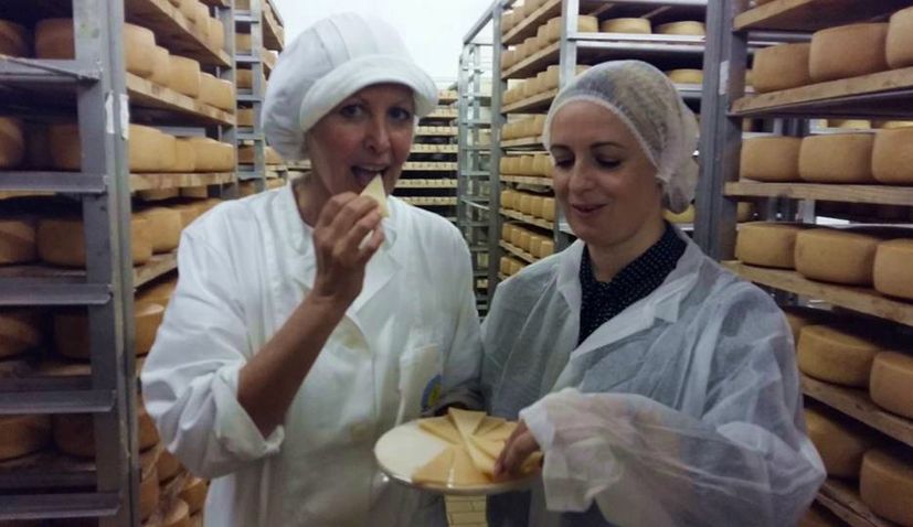 New Zealand Cheesemaker Visits Paska Sirana on Pag