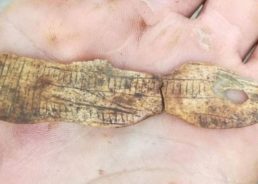 Archaeologists Find First Venus Figurine in Croatia on Dugi Otok