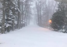 [PHOTOS] First Snow of the Season Arrives