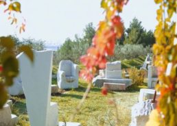 VIDEO: From Junkyard to Beautiful Multifunctional Park