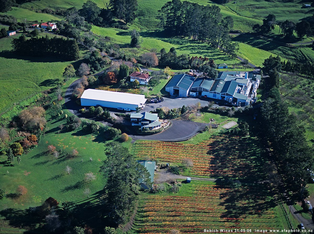 Pioneer Croatian settlers in New Zealand: Babich family story 10.-Babich-Winery