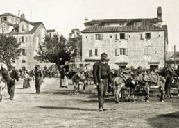 Virtual Museum of Dalmatian Emigration Opens