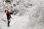 PHOTOS: Most of Croatia Wakes to Snow