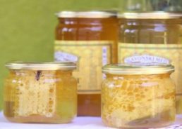 Every Croatian First-Grade Pupil to be Given a Jar of Domestic Honey