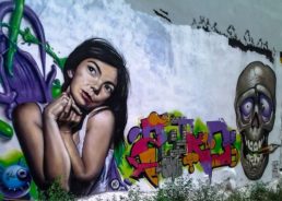 Björk Concert in Croatia Cancelled