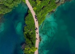 VIDEO: The Viral Croatia Video Viewed 21 Million Times