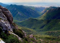 Beech Forest in Croatian National Parks on UNESCO World Heritage List