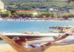 Dalmatian “Fjaka” Gaining International Recognition