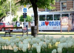 Osijek to Host Croatian Diaspora Congress
