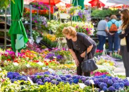 53rd International Garden Show ‘Floraart’ in Zagreb in May