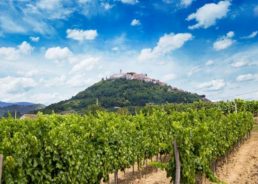 Open Wine Cellars Day in Istria this Weekend
