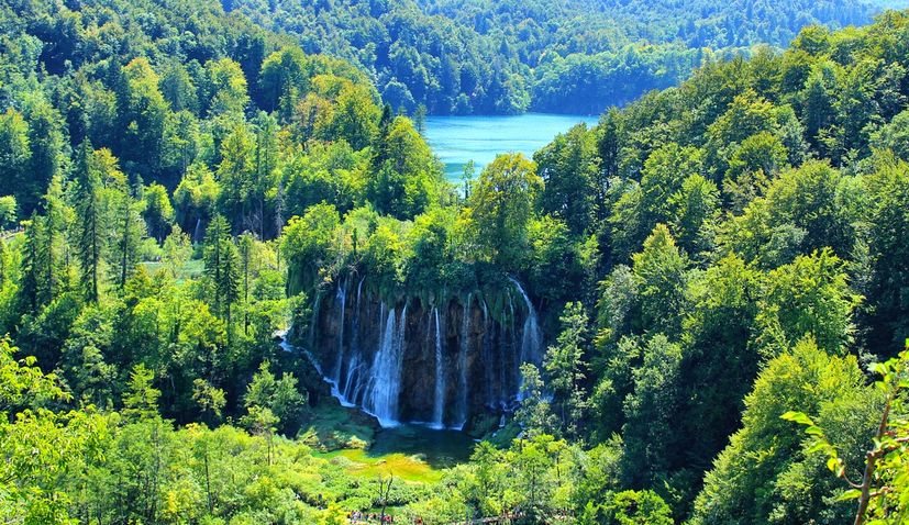 forests in Croatia in world’s top five for CO2 absorption