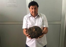 PHOTOS: Gigantic Black Truffle Found in Istria