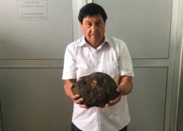 PHOTOS: Gigantic Black Truffle Found in Istria