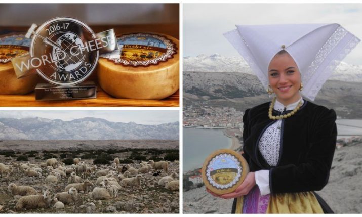 The world-class Croatian cheese producers from Pag