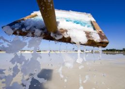 Festival of Salt in Nin Starts