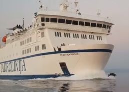 VIDEO: Dolphins Race Jadrolinija Ferry to the Island of Vis