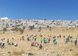 Thousands of new trees being planted in largest ever volunteer reforestation action in Croatia