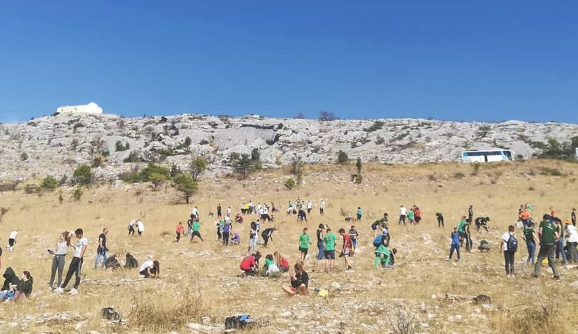 Thousands of new trees being planted in largest ever volunteer reforestation action in Croatia