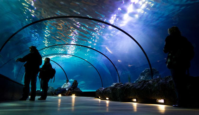 Underwater tunnel set to be new tourist attraction in Primošten