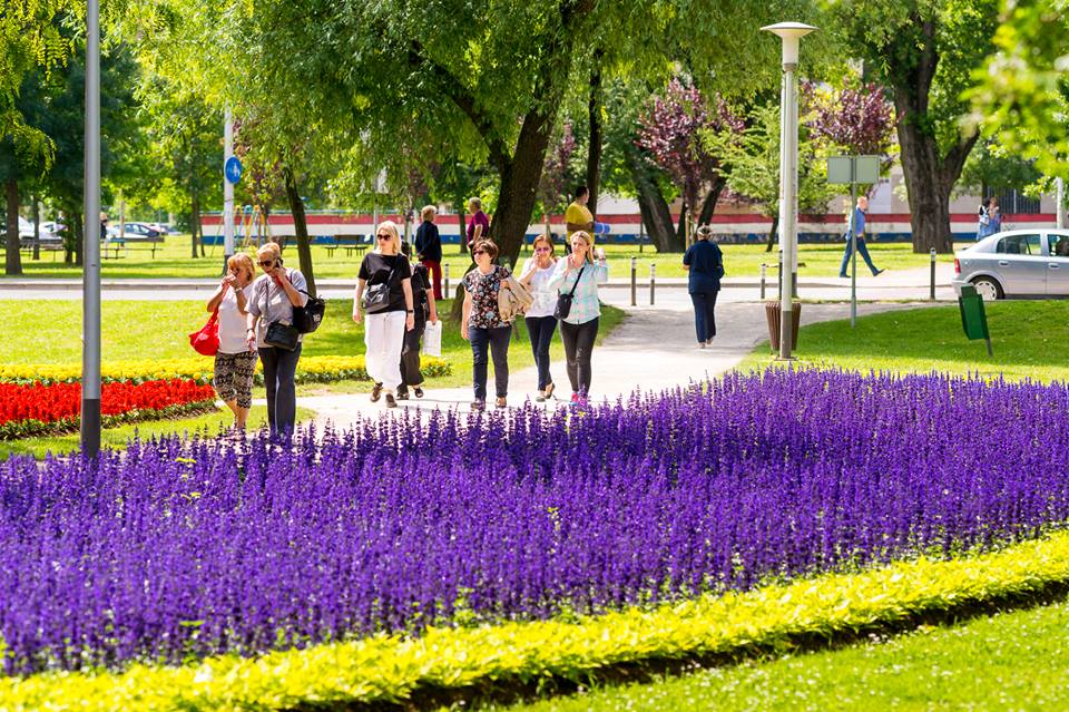 More Than 200 000 Flowers At This Year S Floraart Show In Zagreb