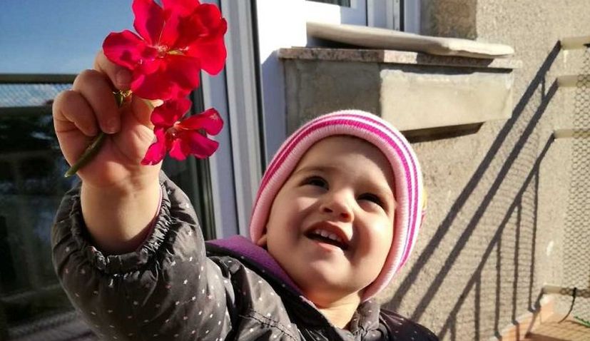 More than $3.4 million raised for Mila to get to America for treatment