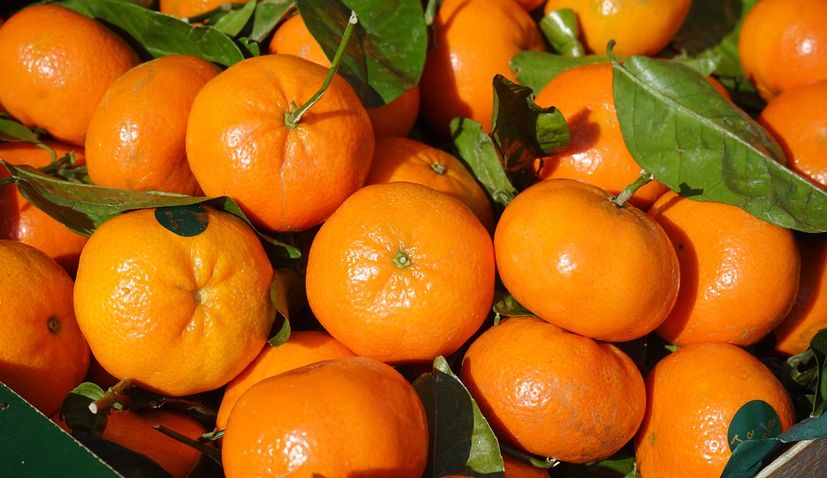 Darijo Srna donates 15 tonnes mandarins